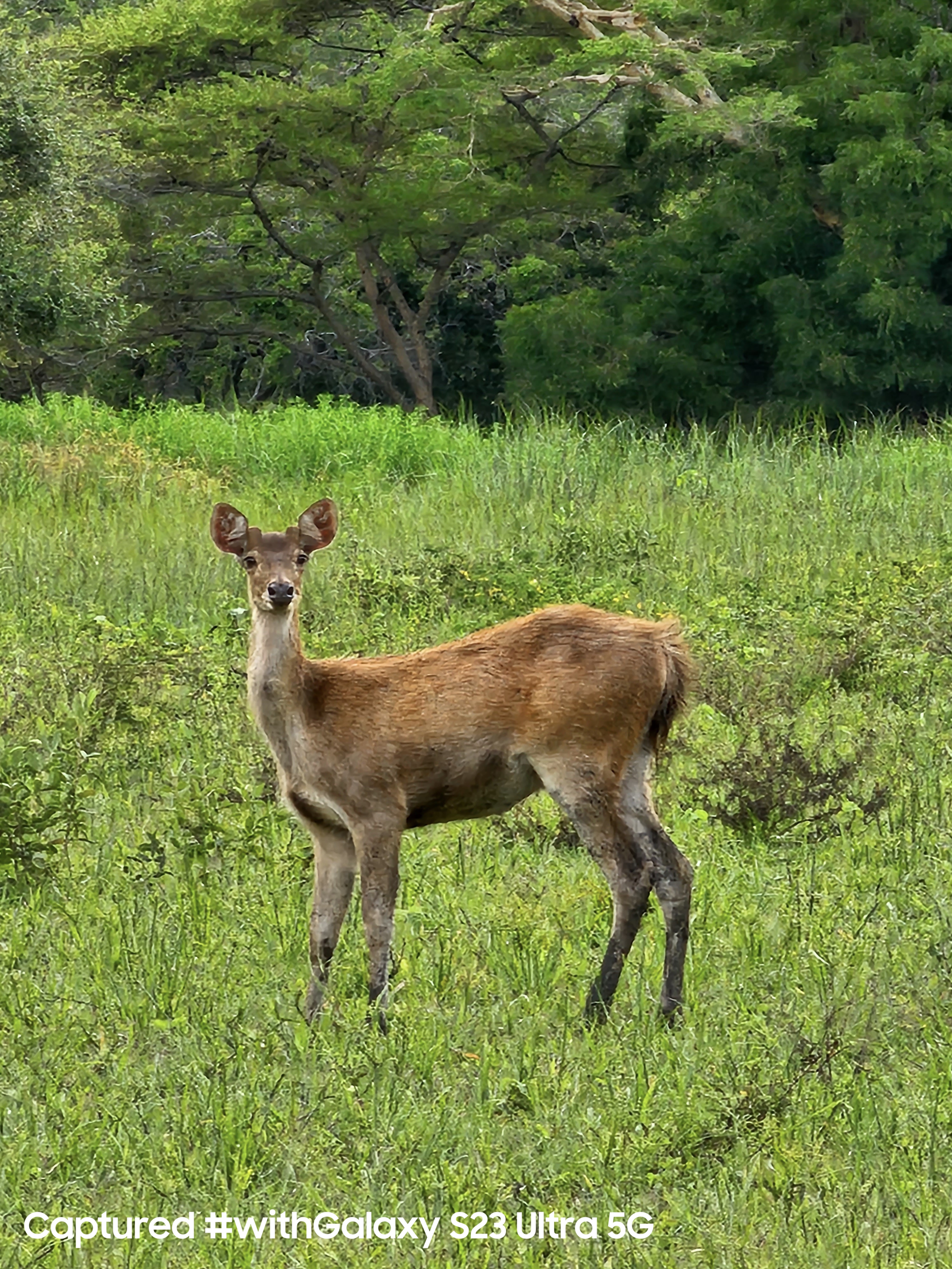 Tangkap Keindahan Alam Lebih Epic dengan Galaxy S23 Ultra 5G, Hasilnya Tak Ada Tandingan! 4