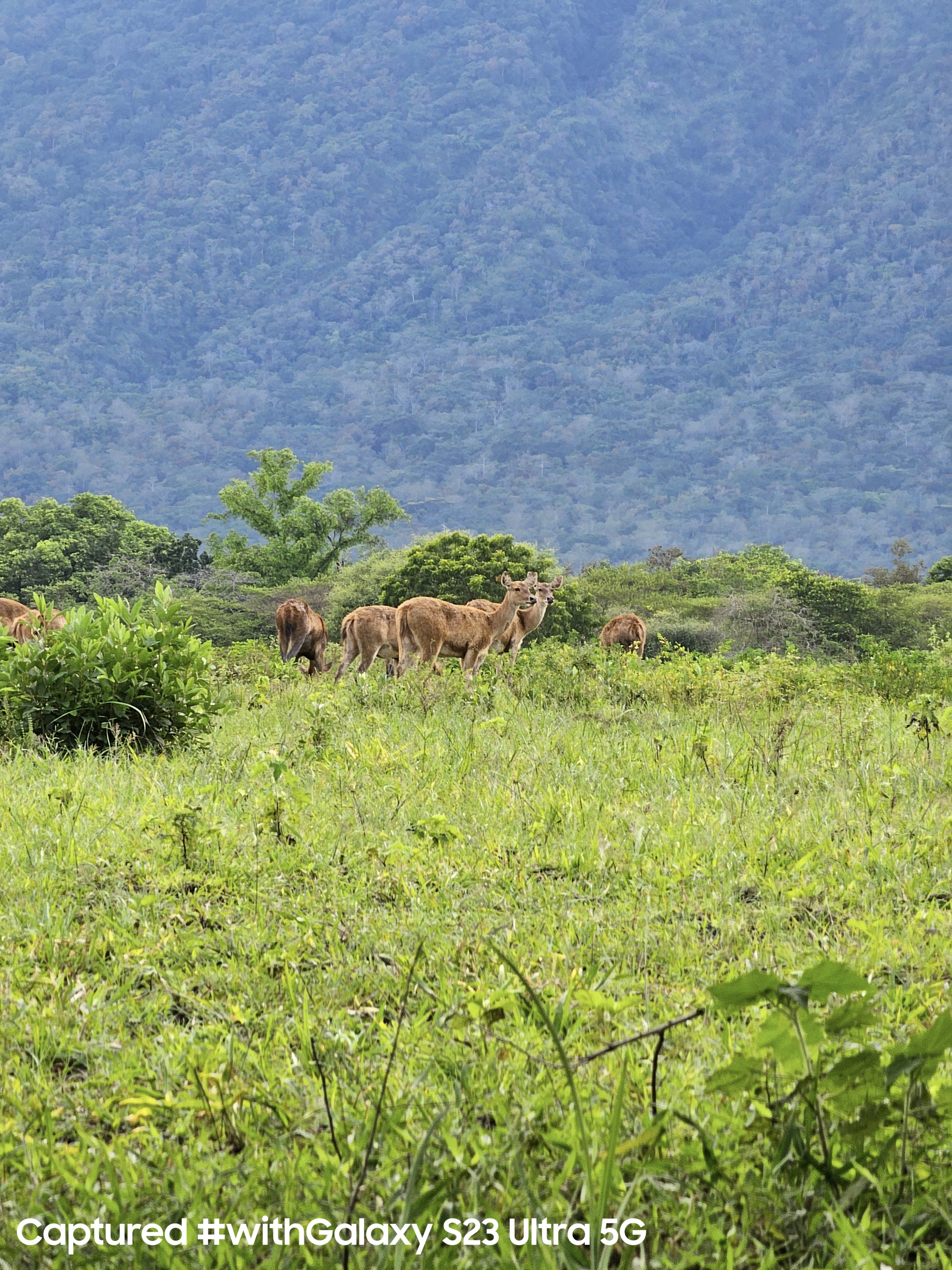 Tangkap Keindahan Alam Lebih Epic dengan Galaxy S23 Ultra 5G, Hasilnya Tak Ada Tandingan! 3